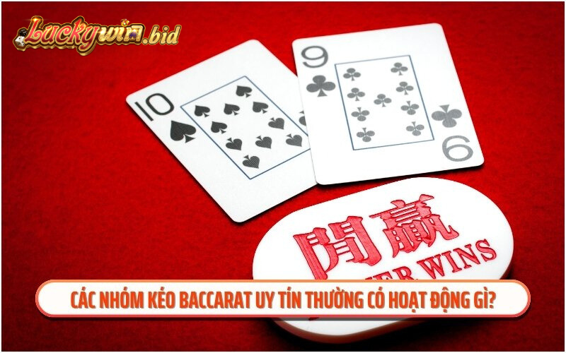 Các nhóm kéo baccarat uy tín thường có hoạt động gì?