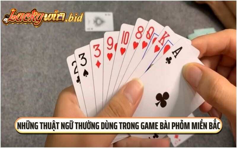 Những thuật ngữ thường dùng trong game bài phỏm miền Bắc