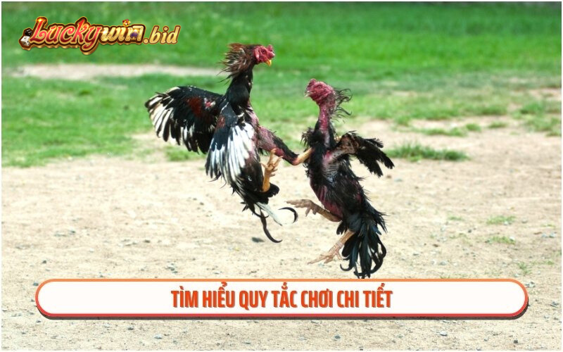 Tìm hiểu quy tắc chơi chi tiết